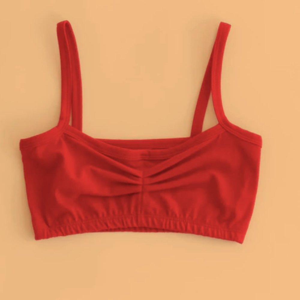 NWT Arq Zelda Bandeau Bra in Cherry